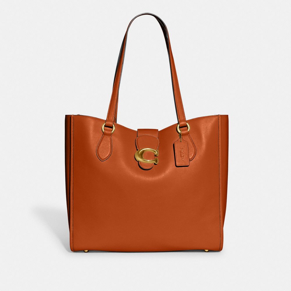 Coach Theo Tote In Brass/canyon