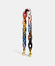 COACH®,RAINBOW LEATHER COVERED SHORT CHAIN STRAP,Glovetanned Leather,Brass/Multi,Front View