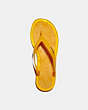 COACH®,NISA SANDAL,Synthetic,Mustard Yellow,Inside View,Top View