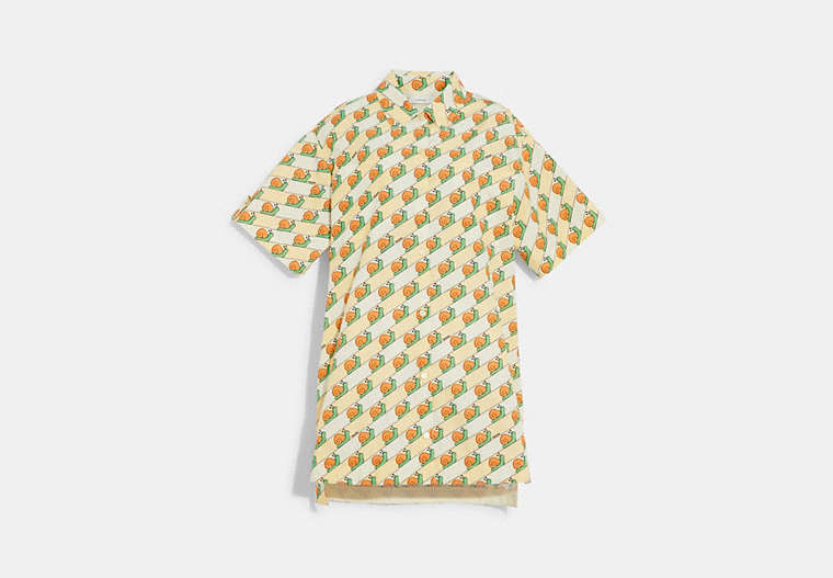 Snail Print Shirt Dress