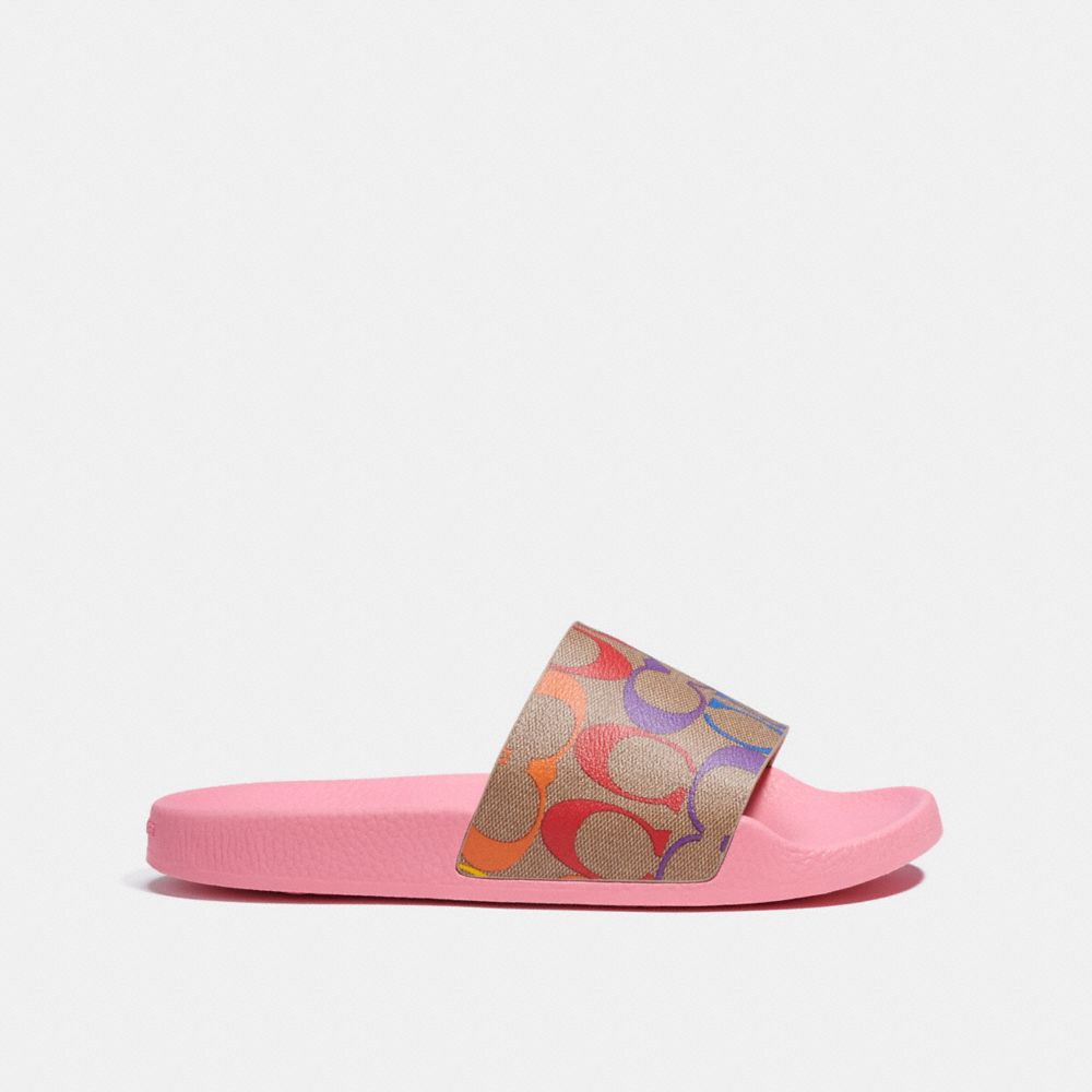 colorful coach slides