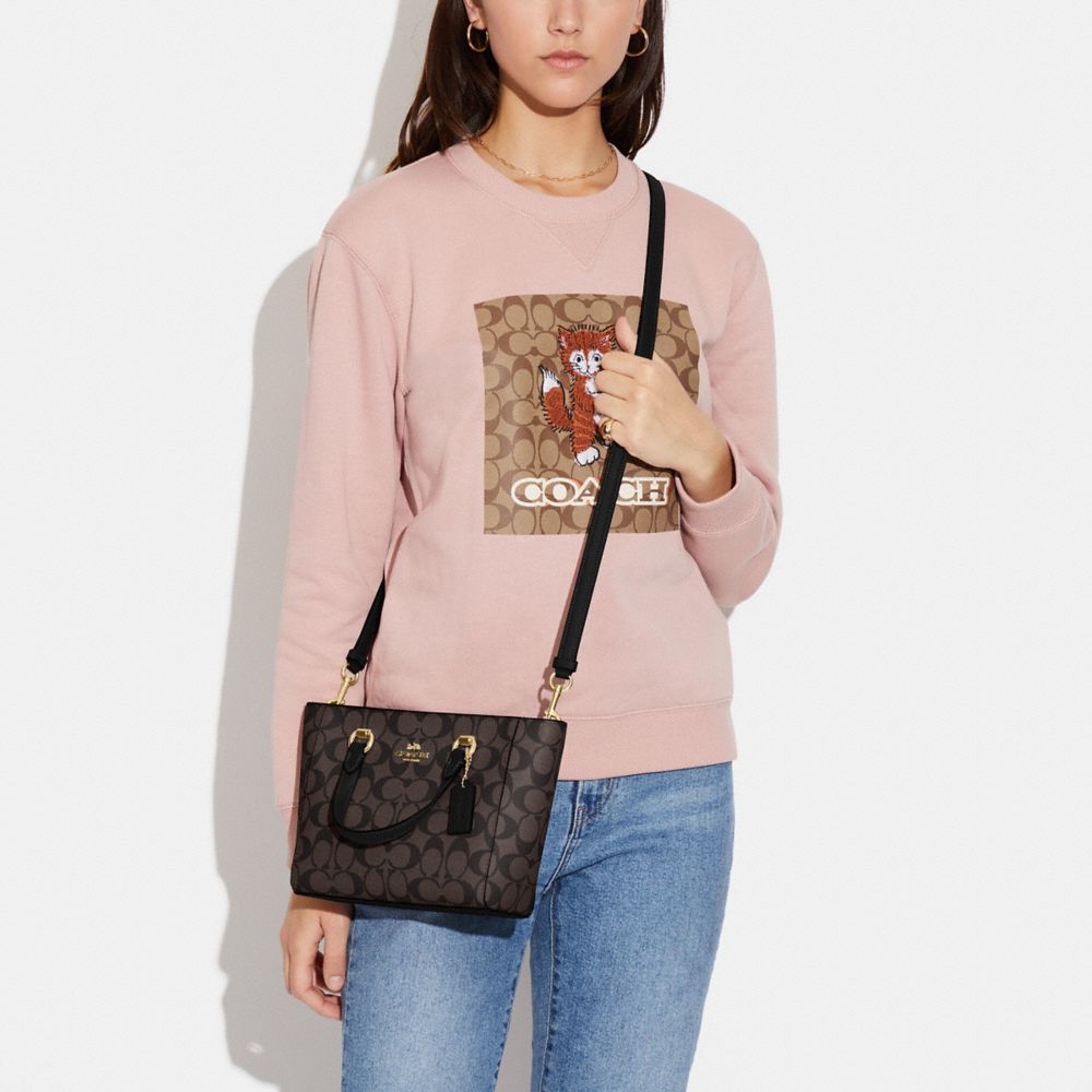 alice satchel coach