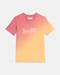 Ombre Horse And Carriage T Shirt In Organic Cotton
