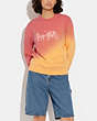 Ombre Horse And Carriage Crewneck In Organic Cotton