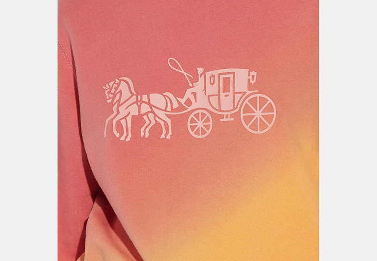 Ombre Horse And Carriage Crewneck In Organic Cotton