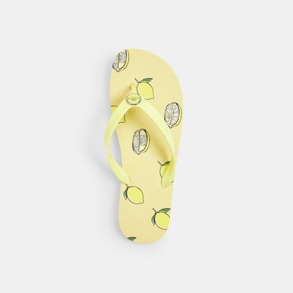 COACH®,Zayn Flip Flop With Fruit Print,Rubber,Flip Flops,Disc,Logo,Metal,Pull Tab,Casual,Yellow,Inside View,Top View