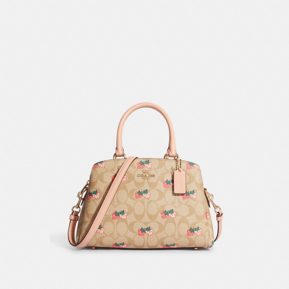 coach mini lillie weekender