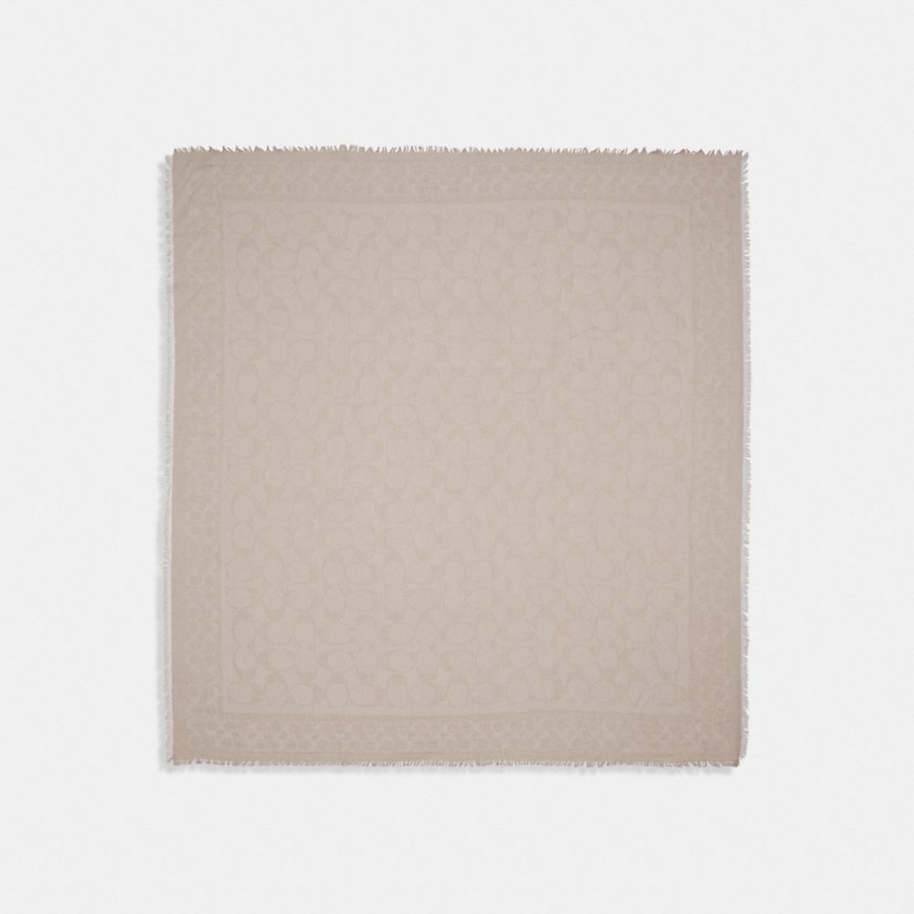 Louis Vuitton Cashmere Baroda Scarf (SHF-23434) – LuxeDH