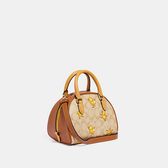COACH® | Sydney Satchel In Signature Canvas With Tossed Chick Print