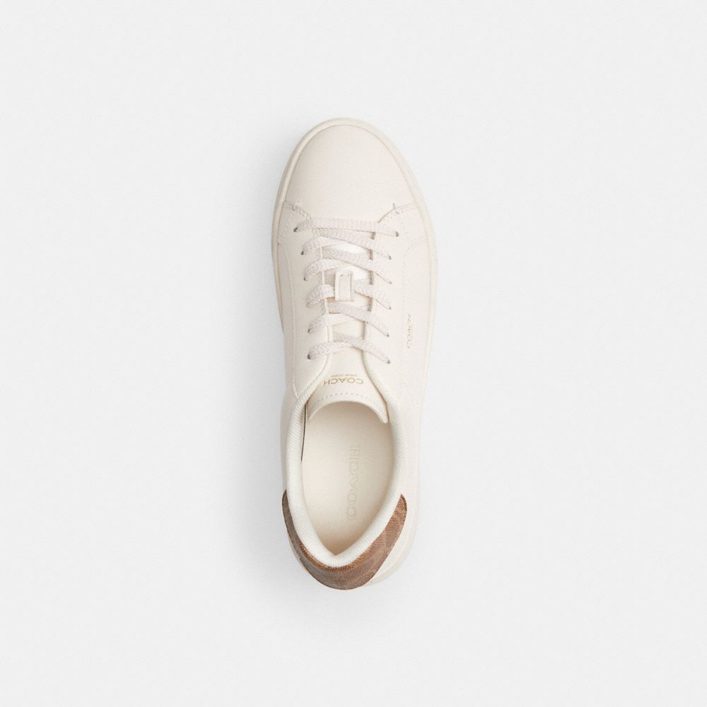 COACH®,High Line Sneaker,EVA,Canvas,Leather,Casual,Low Top,Fabric,Logo,Color Block,Pull Tab,Casual,White,Inside View,Top View