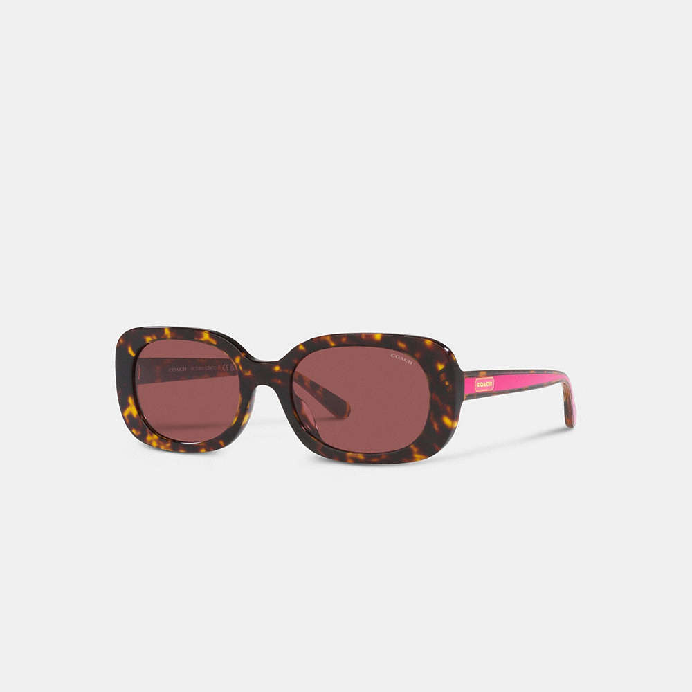 Coach Badge Rounded Square Sunglasses In Tortoise/ Pink Stripe