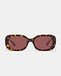 COACH®,BADGE ROUNDED SQUARE SUNGLASSES,Tortoise/ Pink Stripe,Inside View,Top View