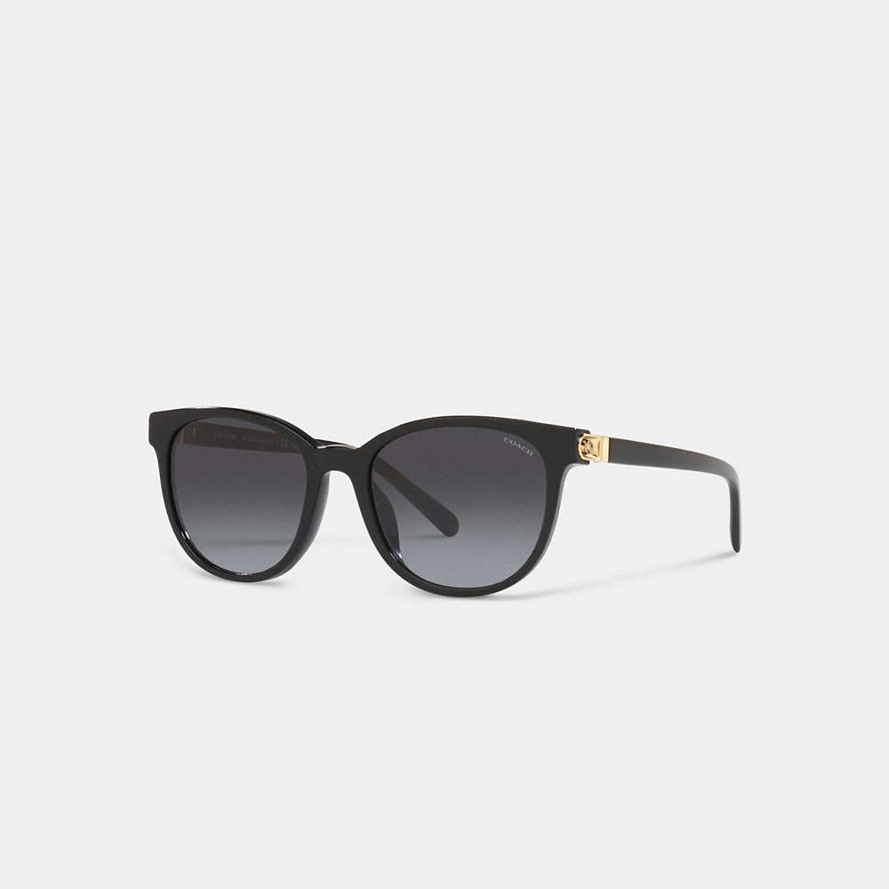 Coach Horse And Carriage Round Sunglasses In Black