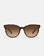 COACH®,HORSE AND CARRIAGE ROUND SUNGLASSES,Dark Tortoise,Inside View,Top View