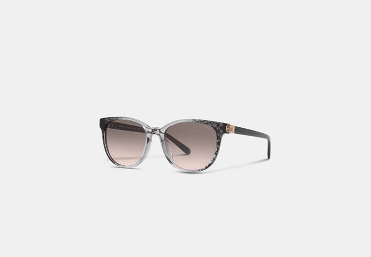 COACH® | Horse And Carriage Round Sunglasses