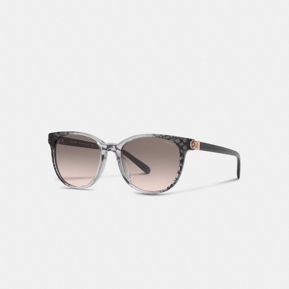 Coach Horse And Carriage Round Sunglasses In Grey Signature C Gradient