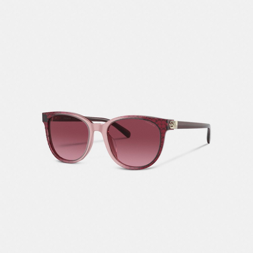 Coach Horse And Carriage Round Sunglasses In Red Signature Gradient