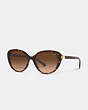 Horse And Carriage Cat Eye Sunglasses
