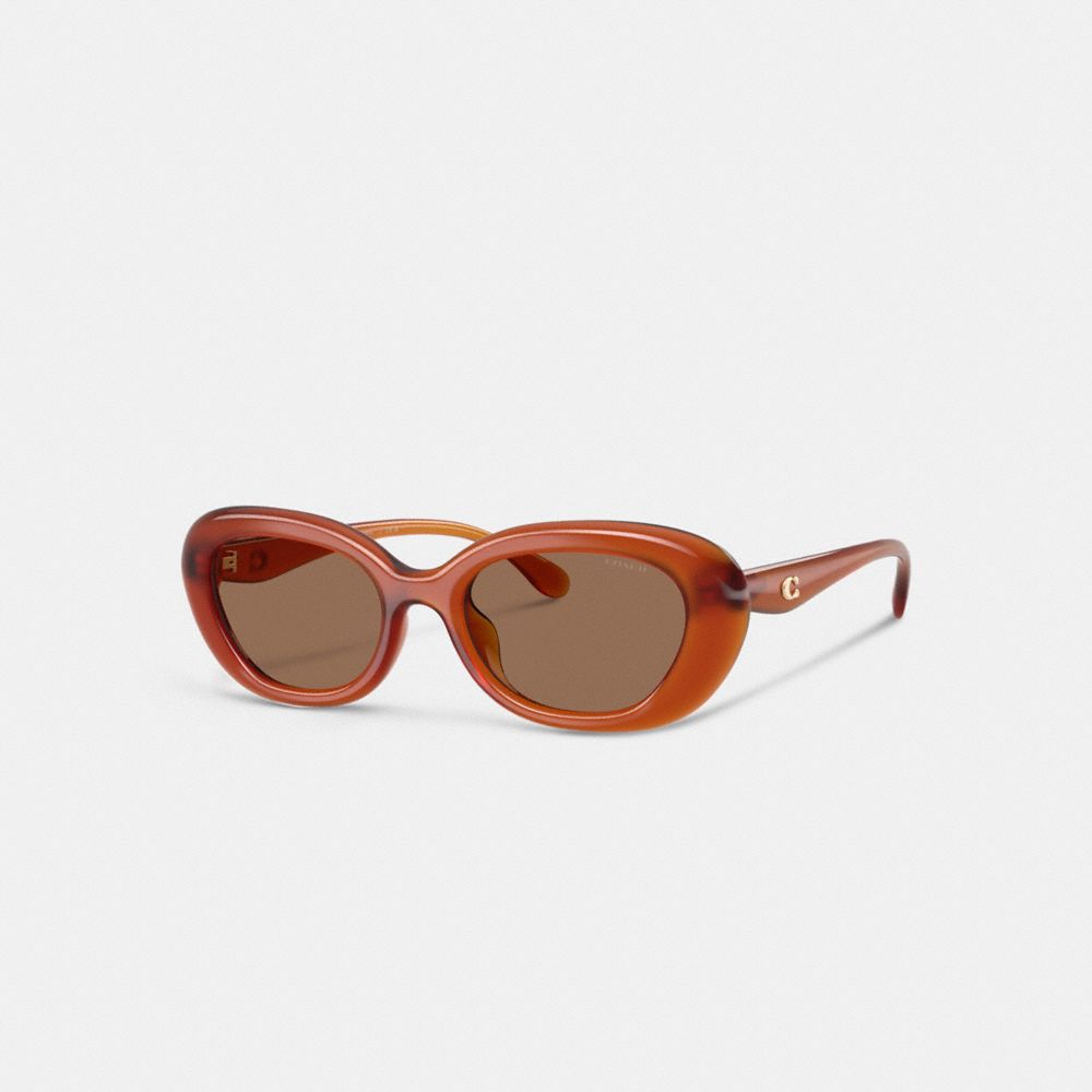 COACH®,C Hardware Round Sunglasses,Cat Eye,Logo,Integrated Nose Pads,Casual,Brown,Front View