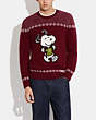 Coach X Peanuts Snoopy Sweater