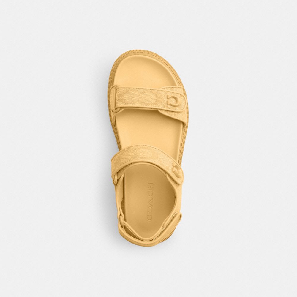 COACH®,Brynn Sandal In Signature Canvas,Cotton,Synthetic,Sandals,Fabric,Logo,Padded Insole,Sustainable,Casual,,Inside View,Top View