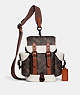 Hitch Backpack 13 With Horse And Carriage Print