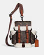 Hitch Backpack 13 With Horse And Carriage Print