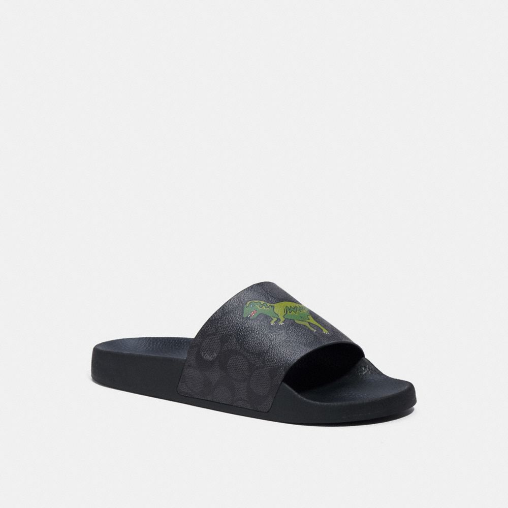 Slide In Signature Canvas With Rexy