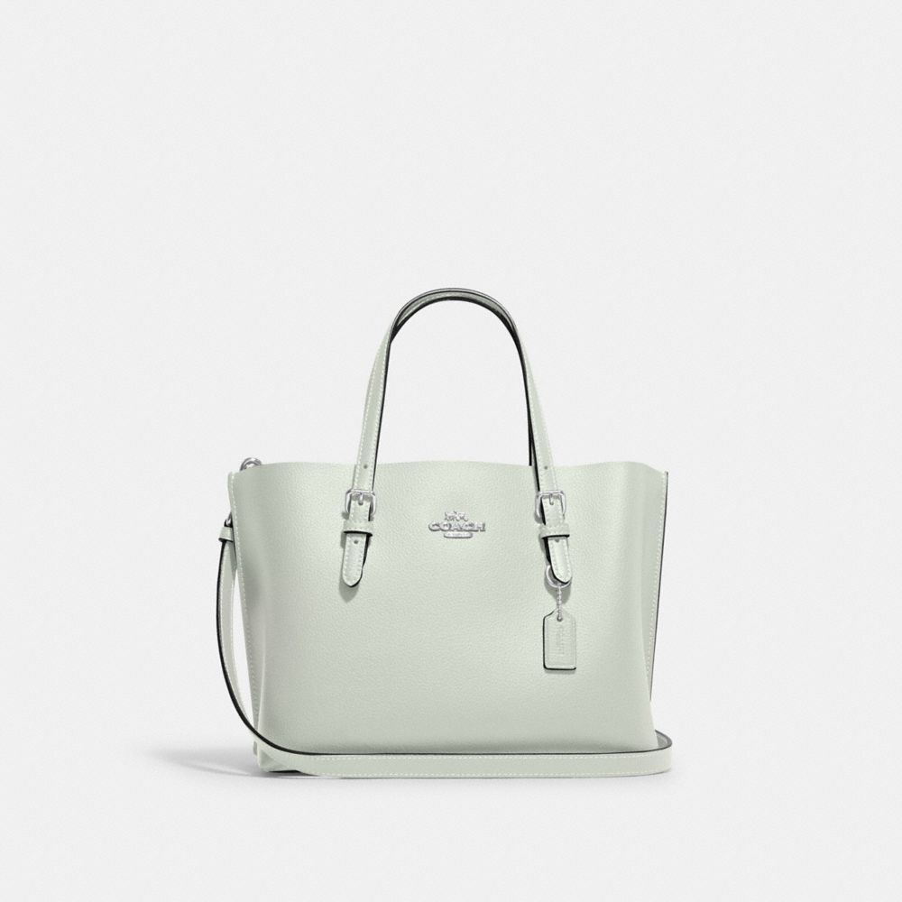 Introducir 37+ imagen coach travel tote bag 