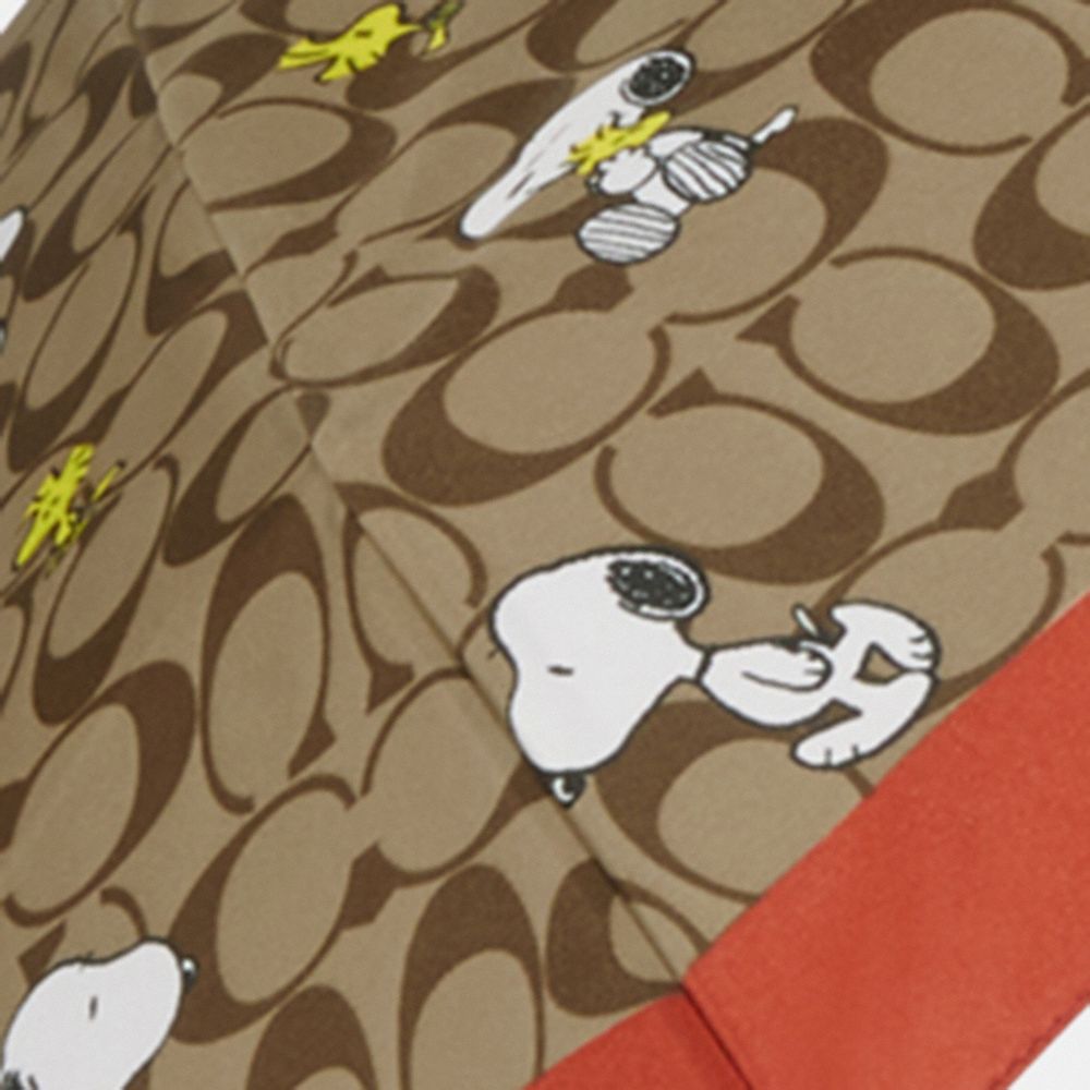 COACH X PEANUTS スヌーピー ウッドストック 折り畳み傘-