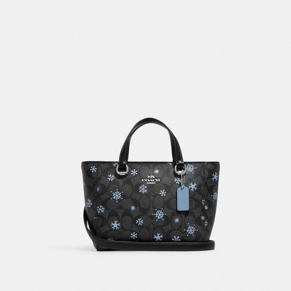 coach snowflake satchel
