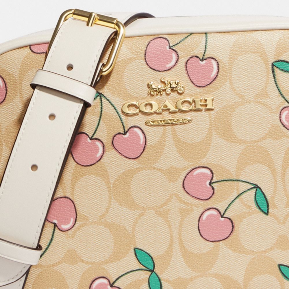 Coach Jamie Camera Bag In Signature Canvas With Heart Cherry Print