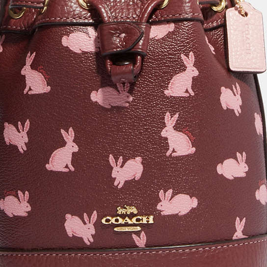 COACH® | Lunar New Year Mini Dempsey Bucket Bag With Rabbit Print