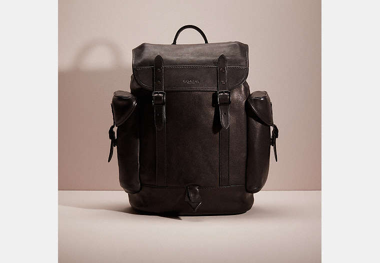 Restored Hitch Backpack