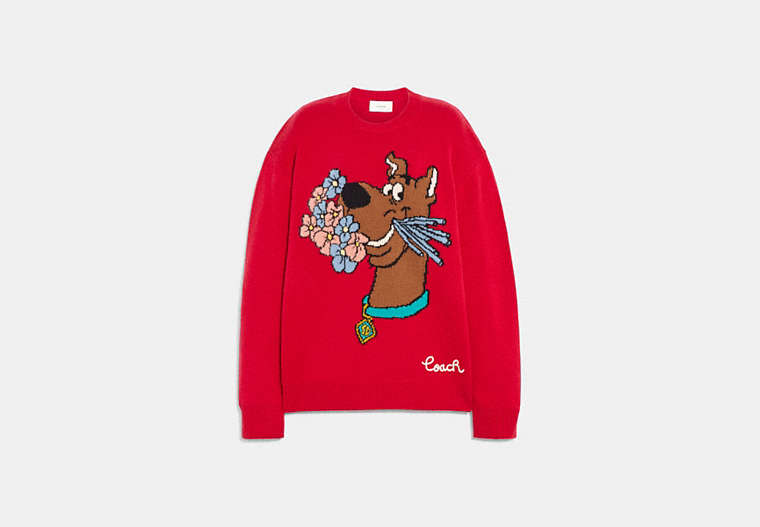 Coach | Scooby Doo! Crewneck Sweater
