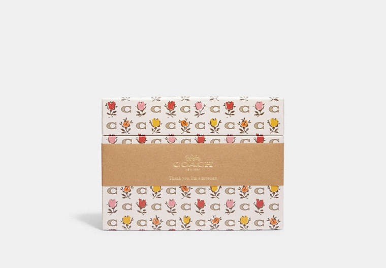 Boxed Notecards With Badlands Floral Print
