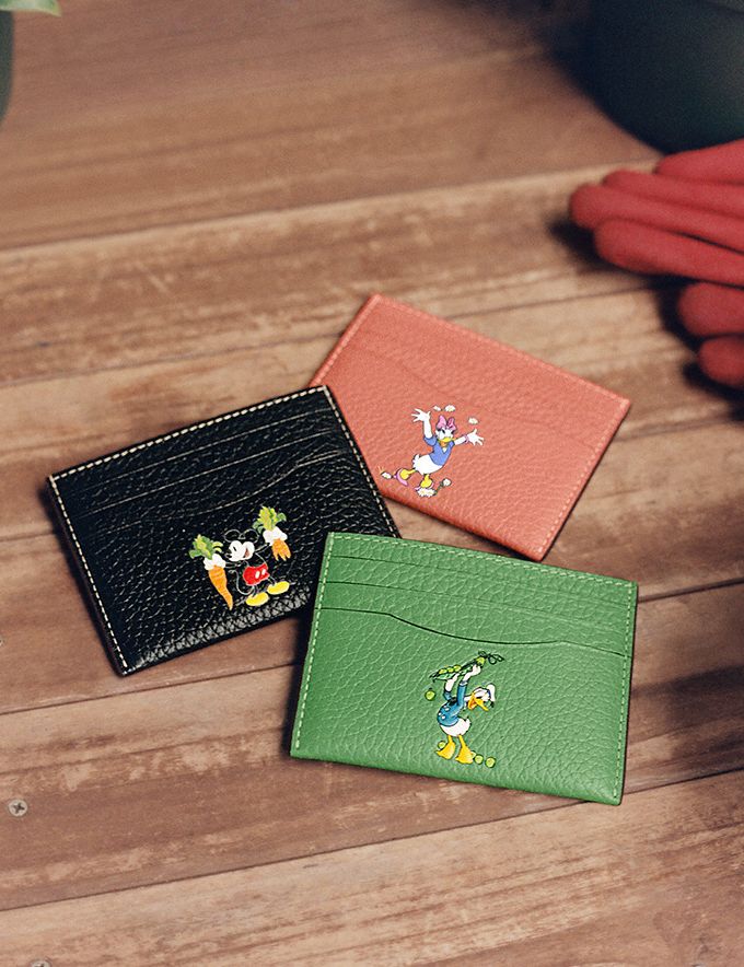 coach × Disney | hartwellspremium.com