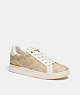 Clip Low Top Sneaker In Signature Canvas