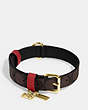 Boxed Large Pet Collar In Signature Canvas