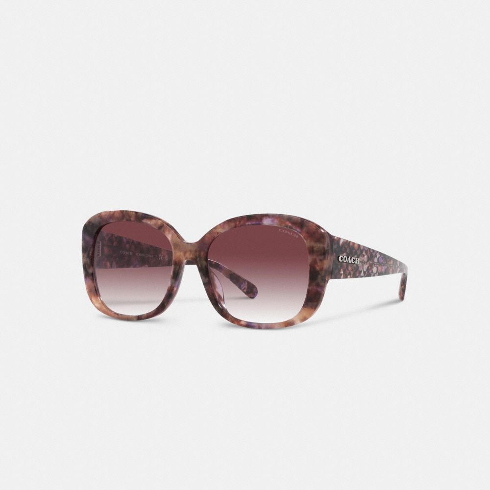 Coach Signature Oversized Square Sunglasses In Purple Tortoise