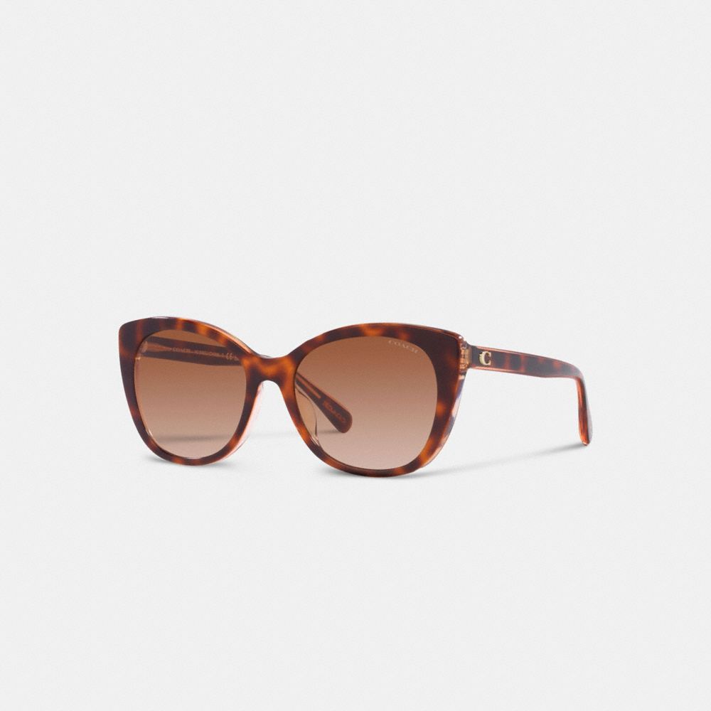 Beveled Signature Oversized Cat Eye Sunglasses Coach®