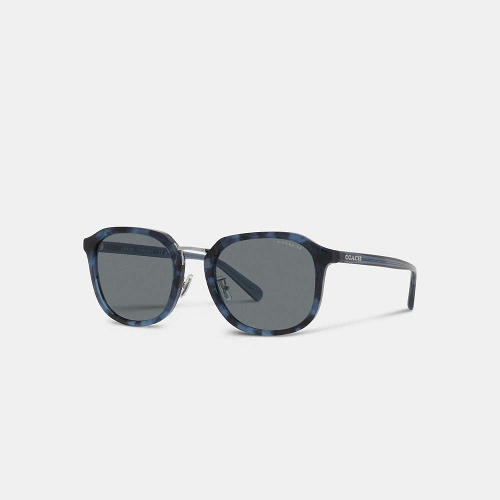 Coach Rounded Geometric Sunglasses In Blue/brown