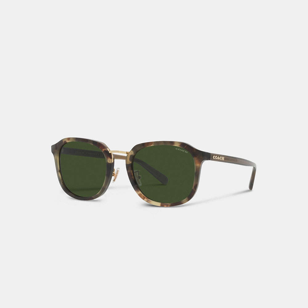 Coach Rounded Geometric Sunglasses In Green Tortoise
