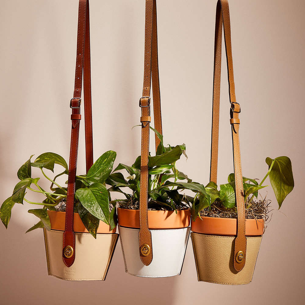 Shop Coach Remade Hanging Plant Pot Holder In Nude Multi