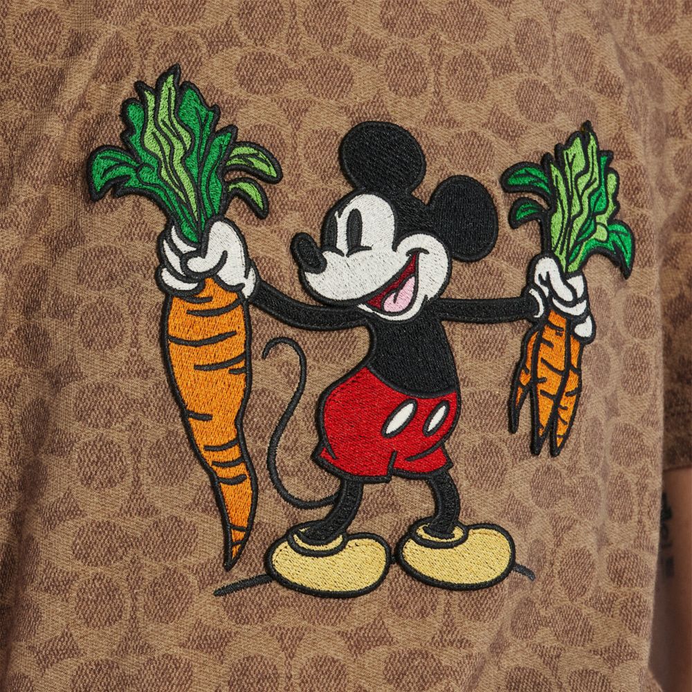 値下げ！COACH Disney スポーツ パッチ シグネチャー Tシャツ