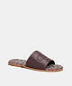 COACH®,SANDAL WITH SIGNATURE JACQUARD,Leather,Maple,Front View
