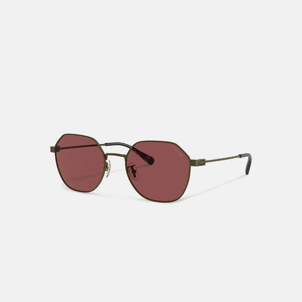Coach Hinged Geometric Round Sunglasses In Antique Gold/wine