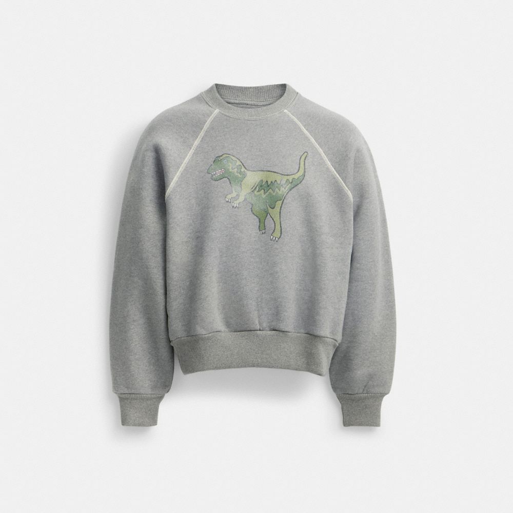 Coach store dinosaur sweatshirt