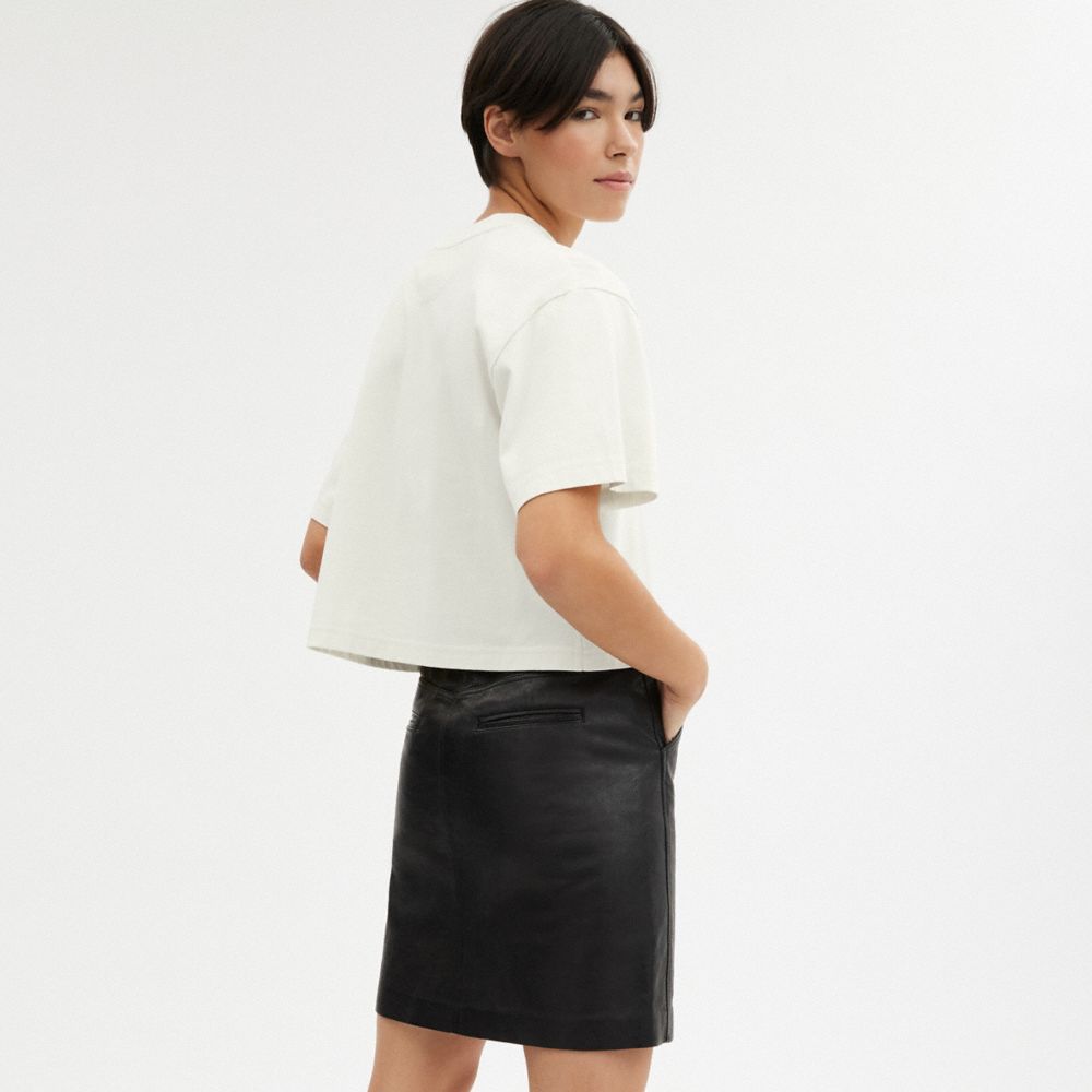 Coach In Cream
