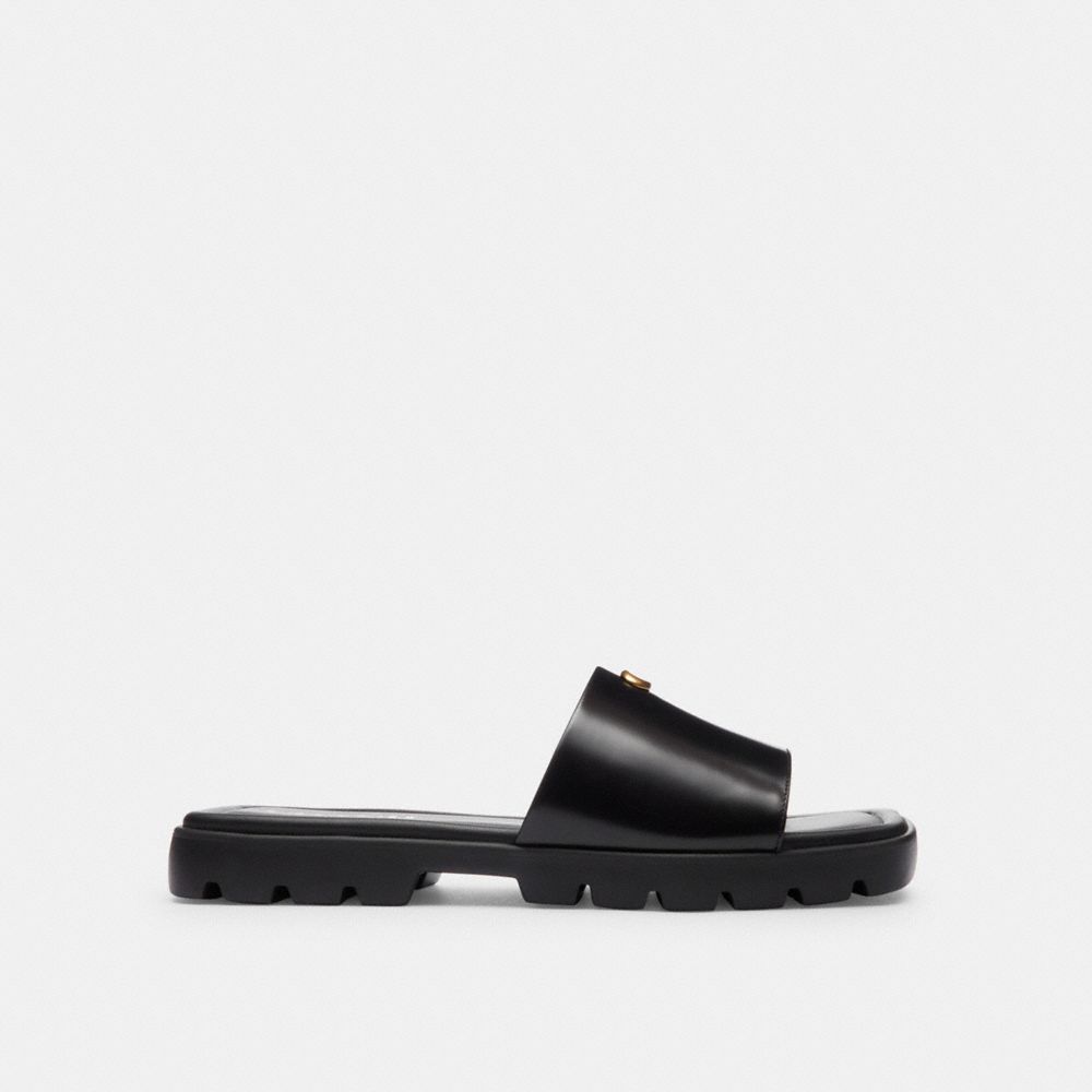 Coach In Black